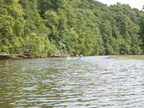 NBBRIdge 2 4